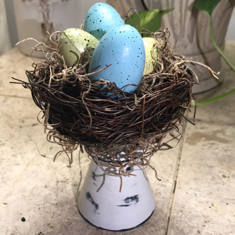 Robbin's Eggs Nest